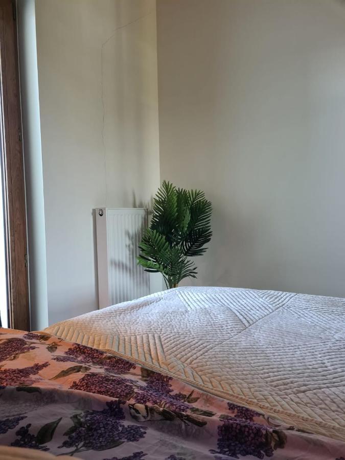 Venice Villa Apartment, Self Check-In 24H, Free Parking Poznań Exterior foto